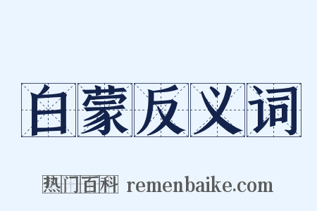 白蒙反义词是什么意思的图片